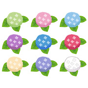 thumbnail_flower_ajisai